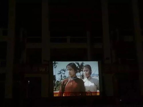 第175期 十月小结,琼台青年志愿者继续行动